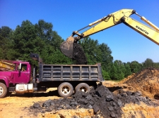 Restora-Life Minerals, Inc.